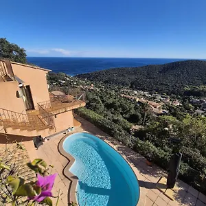 Pétale De Rose Cavalaire-sur-Mer